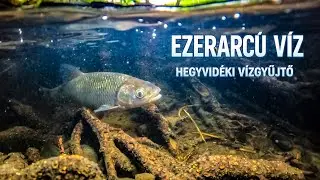 Ezerarcú víz - Hegyvidéki vízgyűjtő (65 perc, 4K)