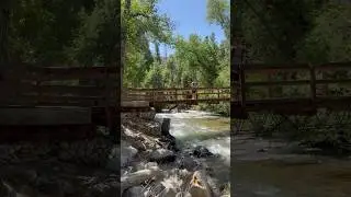 Collegiate Peaks Hike, Father-Son adventure #colorado #hiking #explore #trail #nature #travel #life