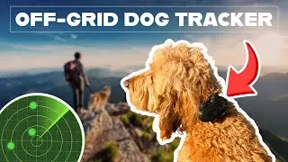 Track Your Dog Off-Grid! Full Setup Guide for Spec5 Trace with Meshtastic