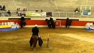 novedoso de la seda