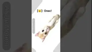 Всем хай★ я  