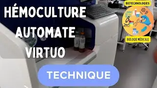 L'hémoculture au laboratoire d'analyses médicales