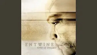 Stream Of Life