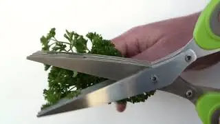 Herb Scissors Stainless Steel - Multipurpose Kitchen Shear with 5 Blades