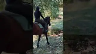 Der September war busy #gel&auml;ndelehrgang #gel&auml;ndereiten #vielseitigkeitsreiten #buschpferd