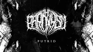 Putrid (Audio Visualizer Video)