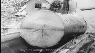 Historic Archival Stock Footage WWII - Canadian Loggers Cut Spruce for Bomber Planes