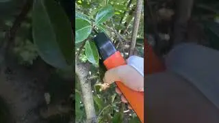 Go Beyond Ordinary: Lighter, Faster, More Powerful, More Heavy-Duty#gardeningtools #gardeningtools