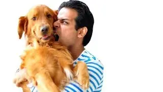Dogs & Prosperity (How dogs bring wealth & happiness in our lives)