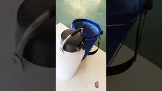 Artificial Insemination Small Capacity Semen Tank Liquid Nitrogen Tank for Cattle Semen