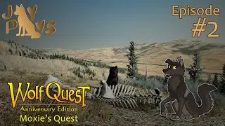 Mountainside Discoveries! | Moxie's Quest #2