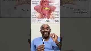 #572: Qui a d&eacute;j&agrave; vu son anus ? 🤗