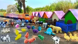 Truk Gandeng Angkut Bebek, Ayam Warna Warni, Kelinci Lucu, Panda, Beruang, Sapi Dan Gajah