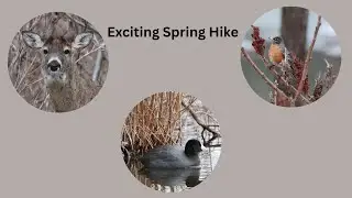 Kathleen Finds EXCITING New Spring SIGHTINGS On Her Hike
