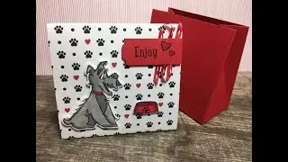 Playful Pets Tent Box - NEW Stampin Up 2020