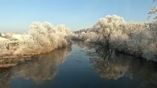 Frozen floodplain forests near Kosice, Slovakia - GoPro 10 - 4k cinematic video