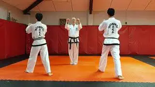 TAEKWON-DO - Do San Tul