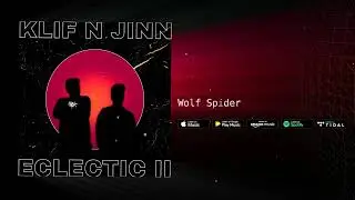 Klif n Jinn | ECLECTIC II - Wolf Spider