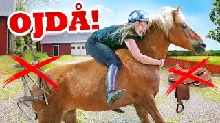 RIDER UTAN SADEL & TRÄNS 2