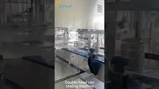 Double-head can sealing machine, Dia73mm tin can sealing machine