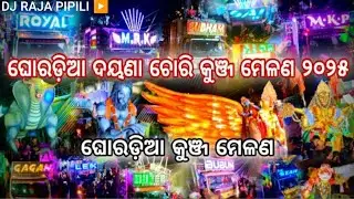⚡ଘୋରଡିଆ ଦୟଣା ଚୋରି ମେଲଣ ୨୦୨୫ ⚡ସବୁ ବାଘ ଏକାଠି ହେଲେ 😲 📍MKP..GAGANA ..SUBHAM..HYPER..LEX..FLAMI..THESTAR.