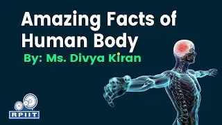 Amazing facts of human body By Ms. Divya Kiran | Pharmacy Department |  RPIIT Academics