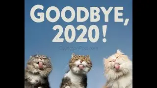 Goodbye 2020 Hello 2021 (best memes collections)