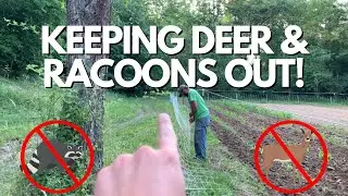 How to Keep Deer and Other Varmints OUT of Your Garden! June 19, 2023