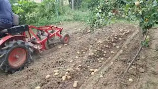 21. júla 2024