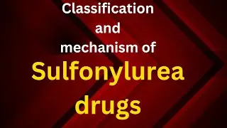 Mechanism of action of Sulfonylurea drug/Oral Hypoglycemic drug|#Sulfonylurea
