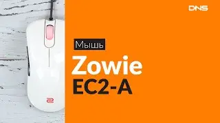 Распаковка мыши Zowie EC2-A / Unboxing Zowie EC2-A