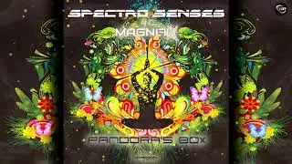 Spectro Senses & Magnifix - Pandora's Box