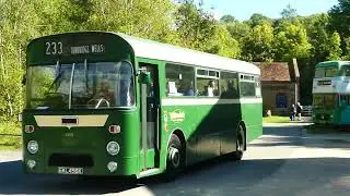 Amberley Bus Show Autumn 2022 Best video shots