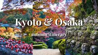 Kyoto & Osaka Autumn Itinerary: 4 Days of Fall Colors & Hidden Gems