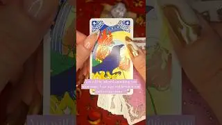 Career message for you! #tarot #tarotreading #tarotmessage #work #career #balkan #balkantarot