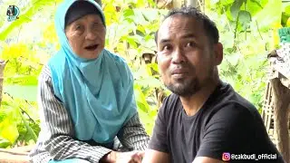 RUMAH MAK SUPIAH DI TENGAH KEBUN KOPI, AYAM MILIKNYA SERING DIMAKAN ULAR…