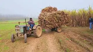 #Kanit# bhai ka tractor Vs Renu bhai ka tractor 241 🚜⛓️🚜⛓️❤️❤️🌾🌾👍💪