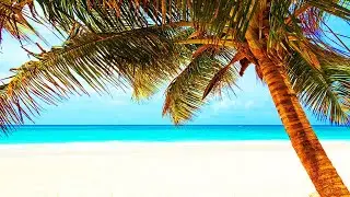 Music for Writing and Studying - Study Music for Concentration and Improving Focus by STUDY MUSIC