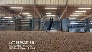 Lot55 Page -59L