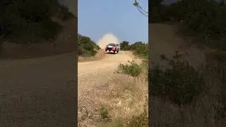 PET Adrien Fourmaux WRC Eko Acropolis Rally Greece 2025