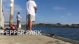 Pepper Park bay fishing! Test video #1