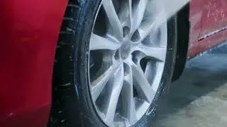 | Dailypit| bumper c ar