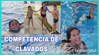 COMPETENCIA de Clavado 😂🏊🏊#comedia #LasZarigueyasCeron