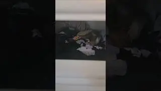 Причина, по которой я не могла убрать белье