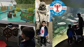 Sea Zoo Anglesey Wales