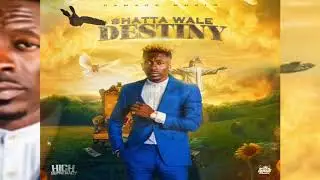 Shatta Wale - Destiny (Official Audio)