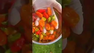 Spicy Habanero Chili Sauce 🥵🌶️ #habanero  #chilli  #hotsauce  #spicyfood #cookingshorts #cooking
