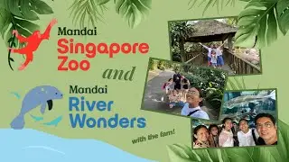 Singapore Zoo and River Wonders in One Day🌿