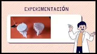 Experiencia de Aprendizaje M&eacute;todo ECBI