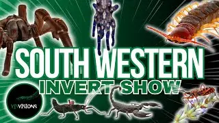 Southwestern Invert Show 2024 | What Did I Buy?